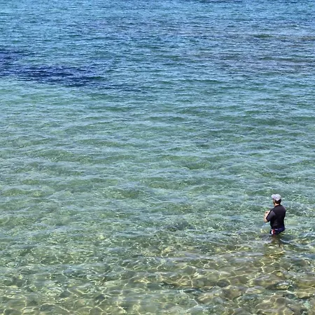 Διαμέρισμα Alkionis Σφάκα